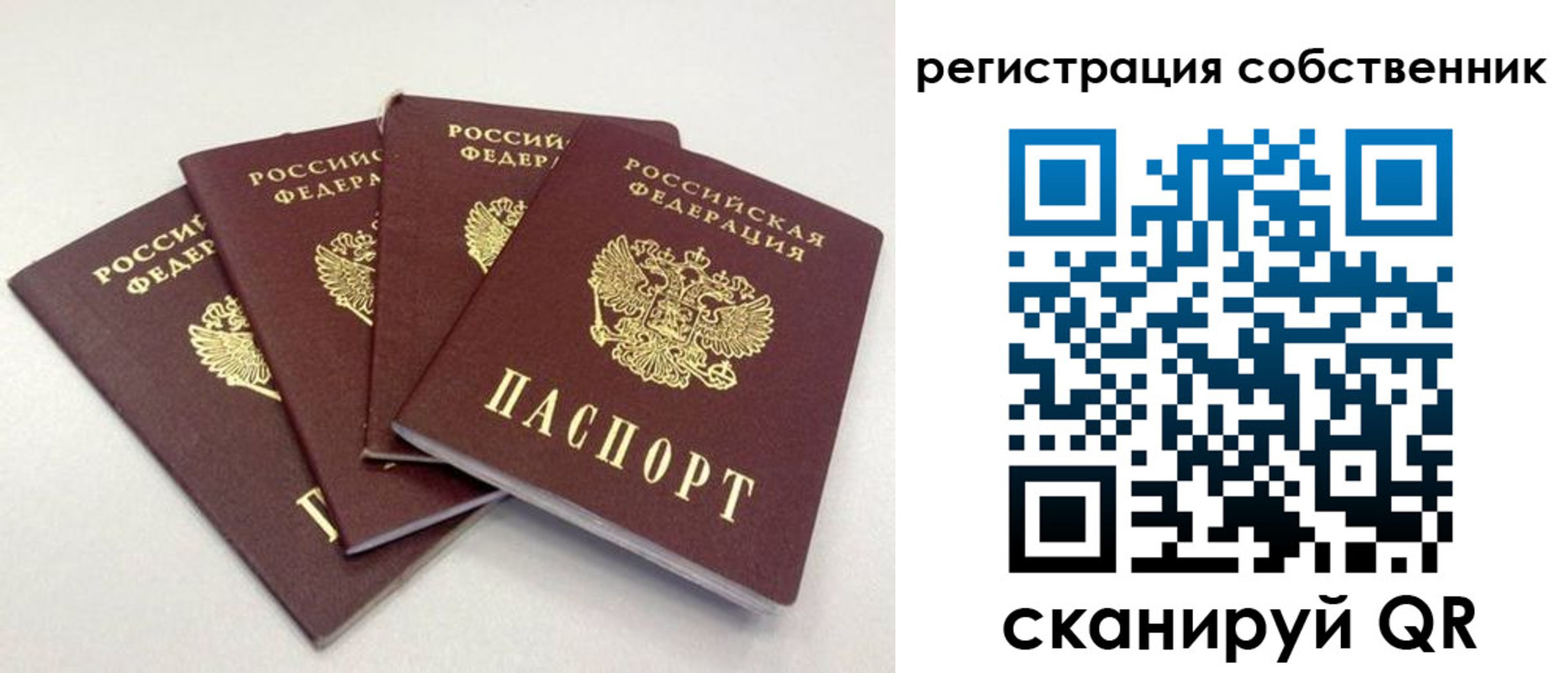 прописка для школы в Гусеве